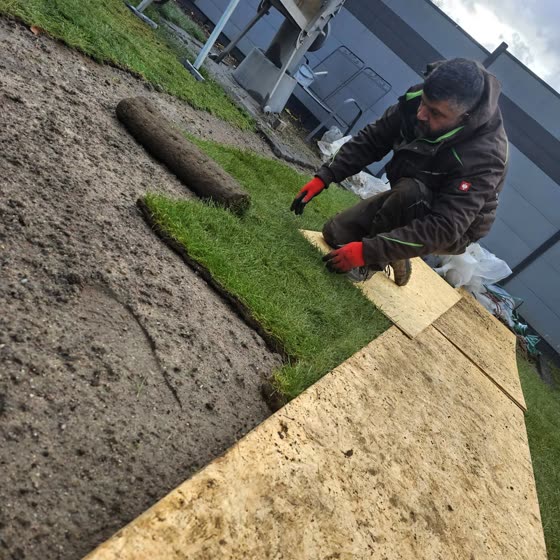 Projektfoto: Pflasterarbeiten